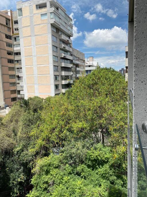 Black Loft. Moderno Y Nuevo, Super Ubicado. Kota Meksiko Bagian luar foto